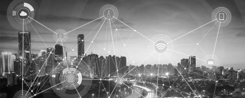 IoT botnet
