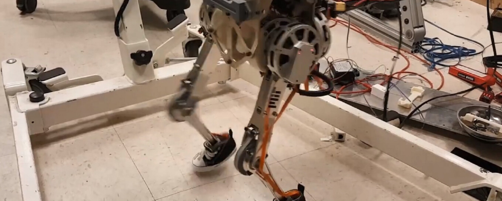 Robot capable of human balance